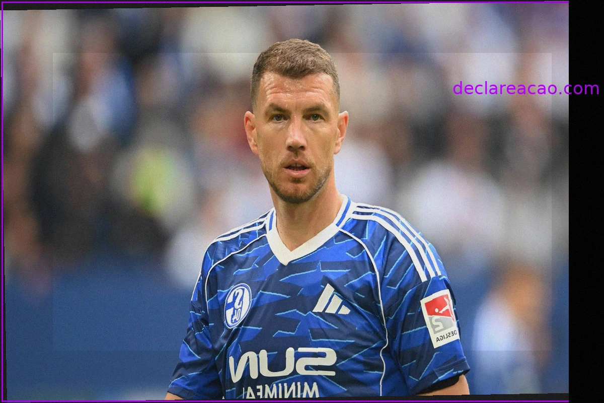 Edin Džeko renueva con el Schalke 04